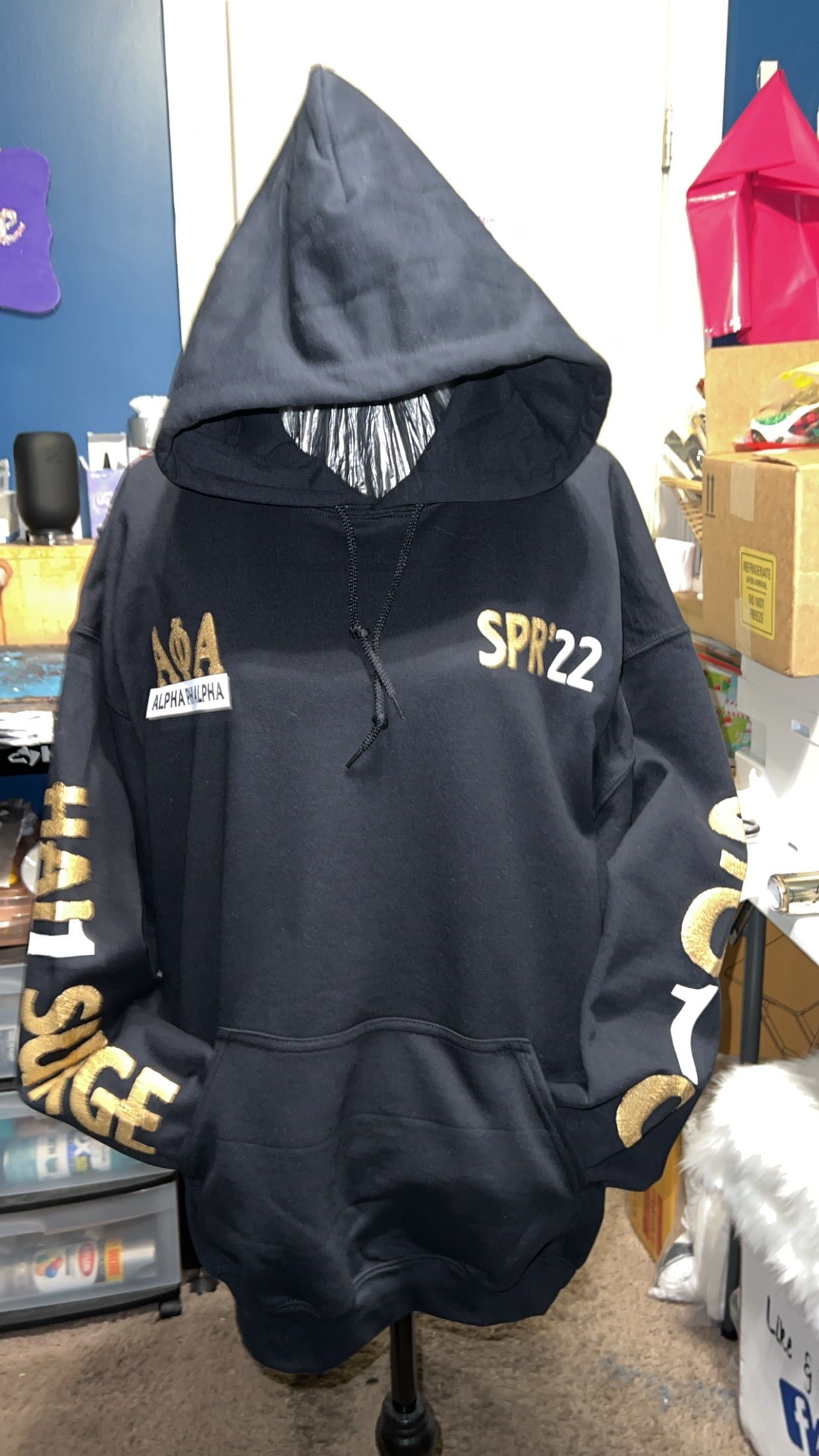 Alpha Phi Alpha Hoodie